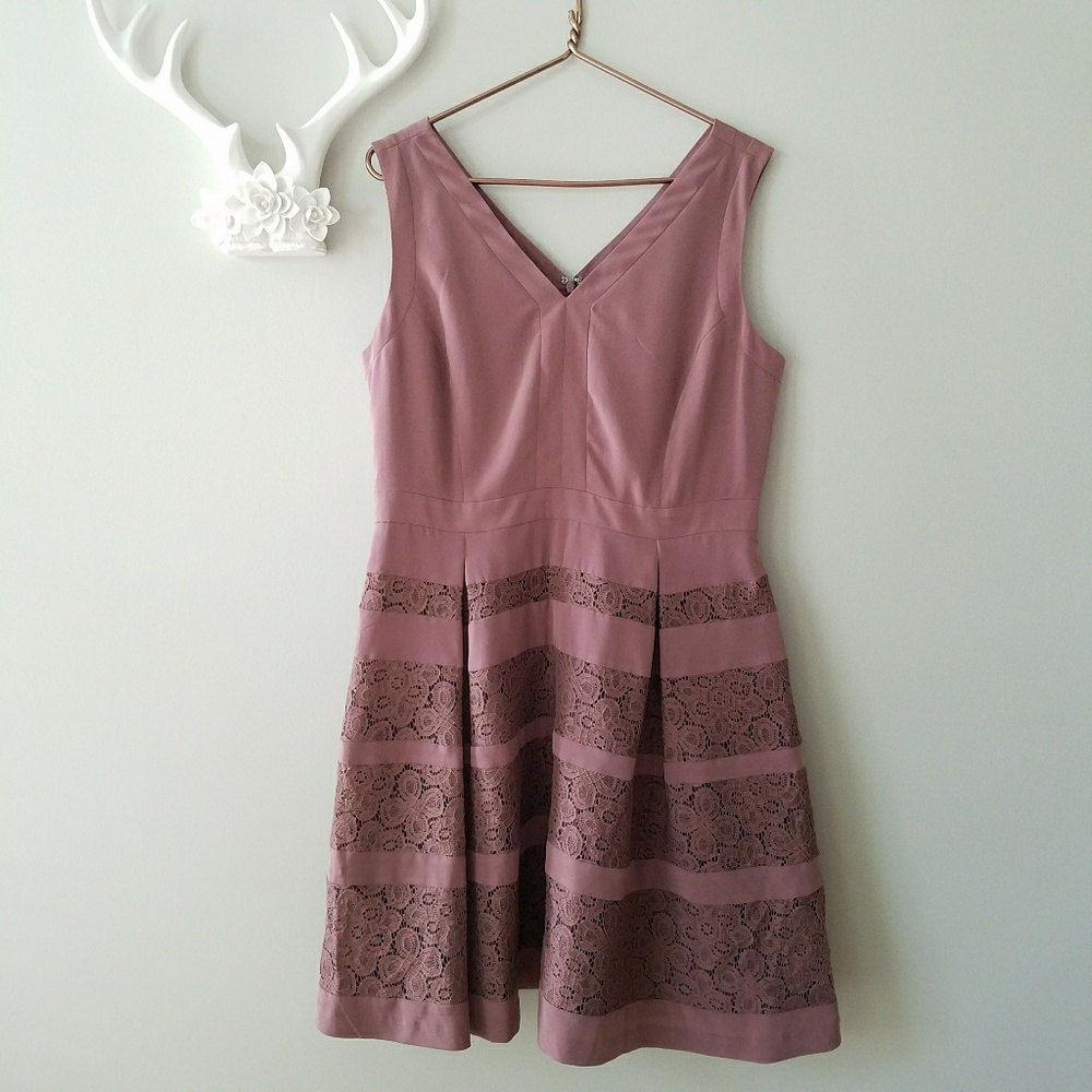 The Limited Mauve Fit & Flare Lace Inset Dress